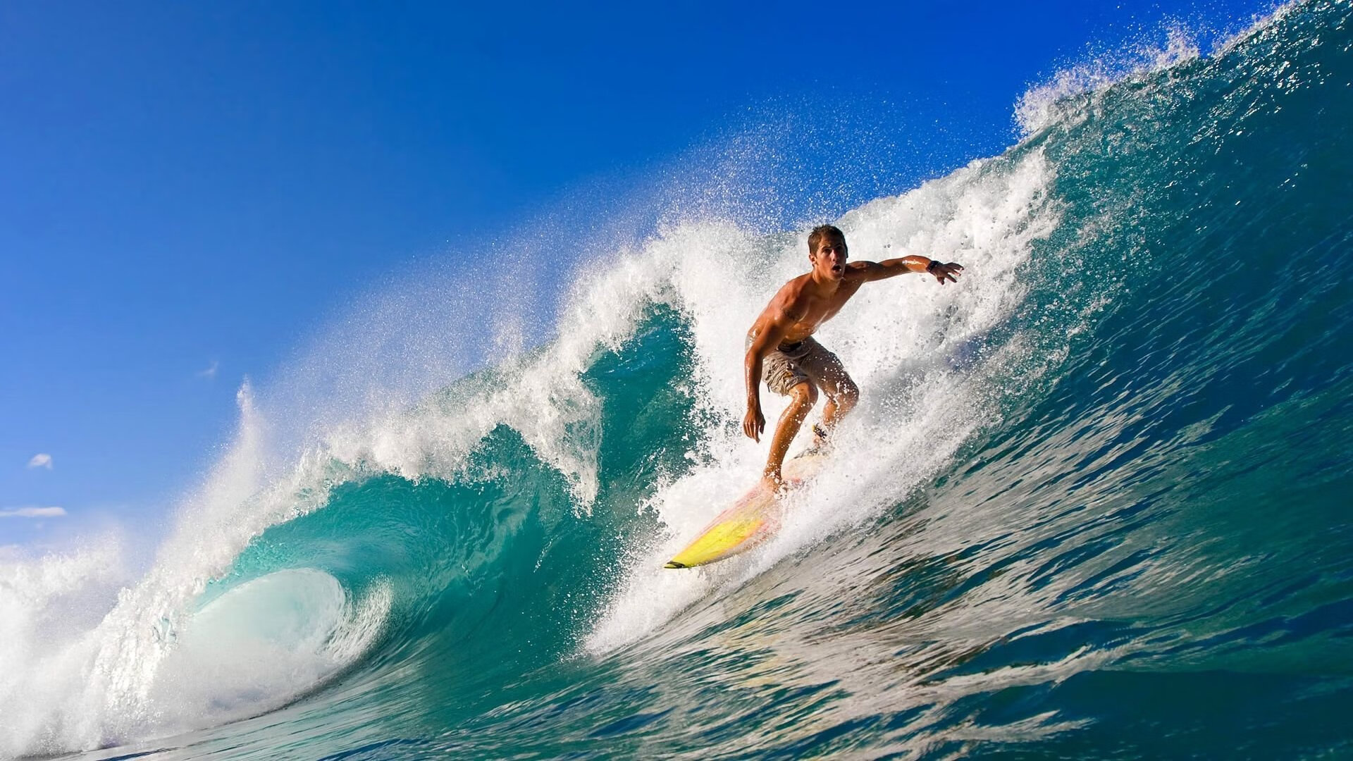 体育周刊特别报道更新,体育周刊画报